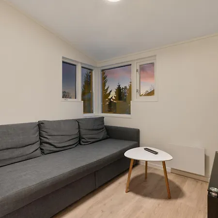 Apartment Fjaerevegen 6 *